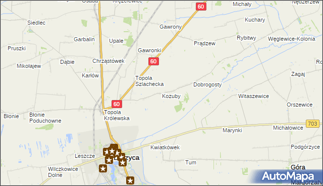 mapa Kozuby gmina Łęczyca, Kozuby gmina Łęczyca na mapie Targeo