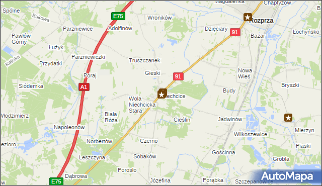 mapa Niechcice, Niechcice na mapie Targeo