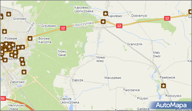 mapa Nowa Wieś gmina Rydzyna, Nowa Wieś gmina Rydzyna na mapie Targeo