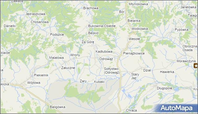 mapa Odrowąż gmina Czarny Dunajec, Odrowąż gmina Czarny Dunajec na mapie Targeo