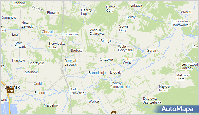 mapa Olszowa gmina Jastrzębia, Olszowa gmina Jastrzębia na mapie Targeo