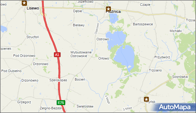 mapa Orłowo gmina Płużnica, Orłowo gmina Płużnica na mapie Targeo