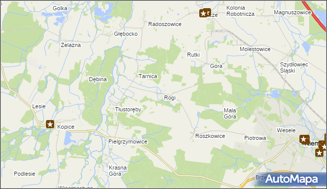 mapa Rogi gmina Niemodlin, Rogi gmina Niemodlin na mapie Targeo