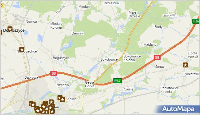 mapa Sokołowice gmina Oleśnica, Sokołowice gmina Oleśnica na mapie Targeo