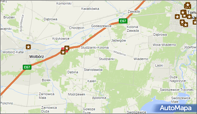 mapa Studzianki gmina Wolbórz, Studzianki gmina Wolbórz na mapie Targeo