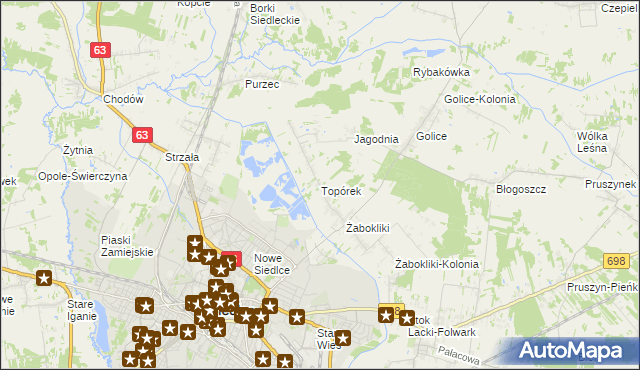 mapa Topórek, Topórek na mapie Targeo