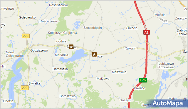 mapa Turze gmina Tczew, Turze gmina Tczew na mapie Targeo