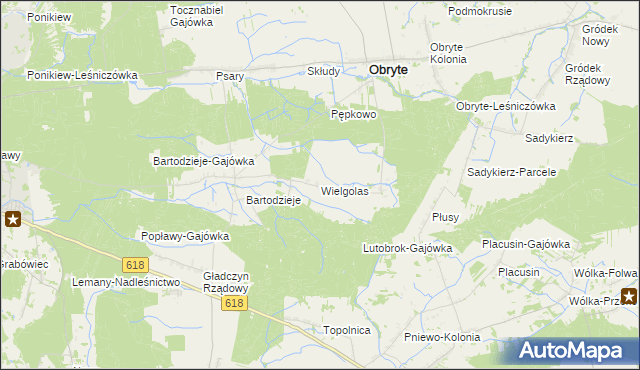 mapa Wielgolas gmina Obryte, Wielgolas gmina Obryte na mapie Targeo