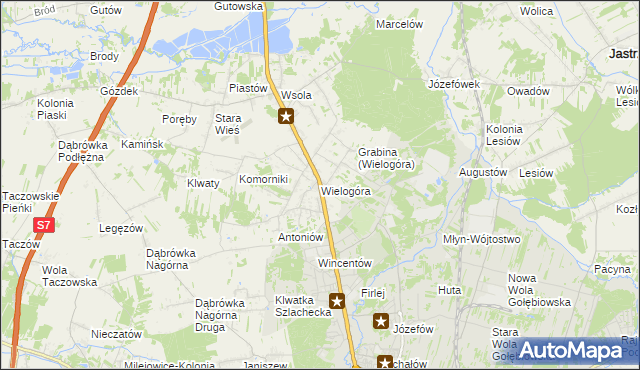 mapa Wielogóra gmina Jedlińsk, Wielogóra gmina Jedlińsk na mapie Targeo