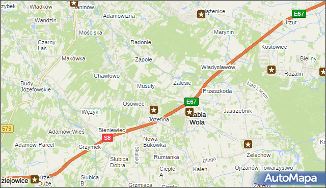 mapa Wycinki Osowskie, Wycinki Osowskie na mapie Targeo