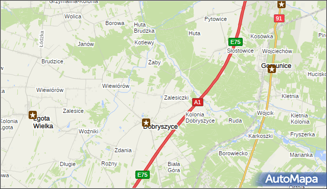 mapa Zalesiczki, Zalesiczki na mapie Targeo