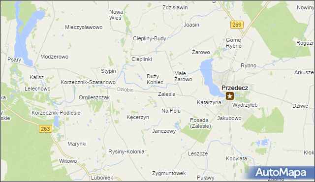 mapa Zalesie gmina Przedecz, Zalesie gmina Przedecz na mapie Targeo