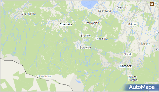 mapa Borowice gmina Podgórzyn, Borowice gmina Podgórzyn na mapie Targeo