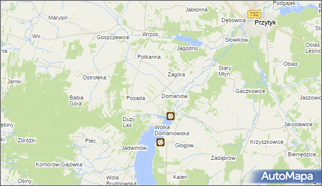 mapa Domaniów gmina Przytyk, Domaniów gmina Przytyk na mapie Targeo