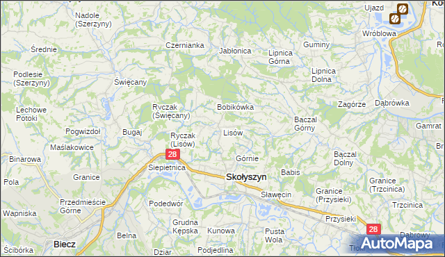 mapa Lisów gmina Skołyszyn, Lisów gmina Skołyszyn na mapie Targeo