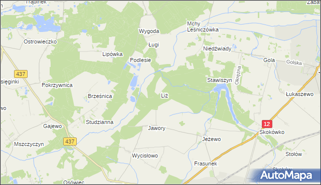 mapa Liż, Liż na mapie Targeo