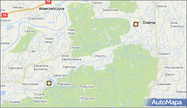 mapa Olszyny gmina Drwinia, Olszyny gmina Drwinia na mapie Targeo