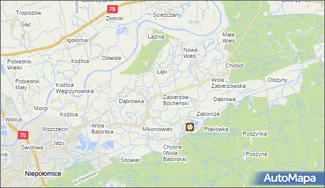 mapa Zabierzów Bocheński, Zabierzów Bocheński na mapie Targeo