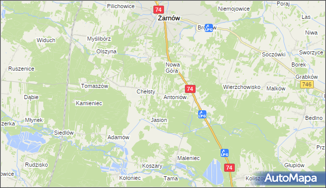 mapa Antoniów gmina Żarnów, Antoniów gmina Żarnów na mapie Targeo