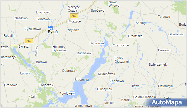 mapa Głuszyn gmina Bytoń, Głuszyn gmina Bytoń na mapie Targeo
