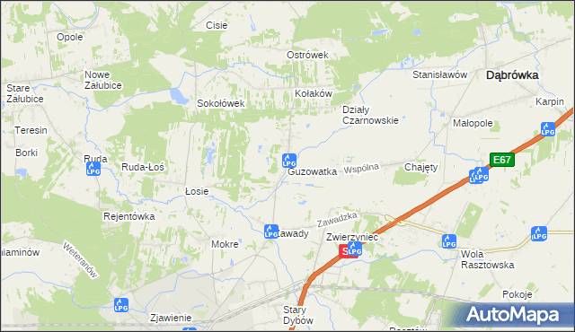 mapa Guzowatka gmina Dąbrówka, Guzowatka gmina Dąbrówka na mapie Targeo