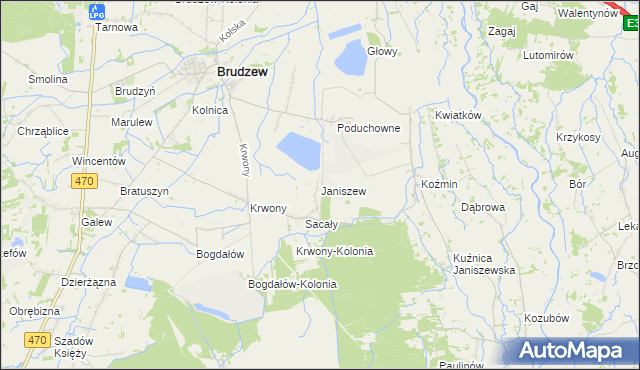 mapa Janiszew gmina Brudzew, Janiszew gmina Brudzew na mapie Targeo