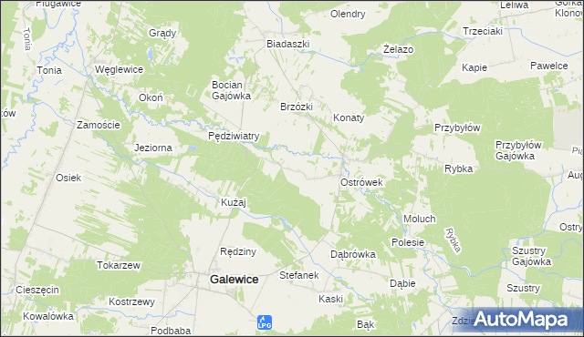 mapa Kaźmirów, Kaźmirów na mapie Targeo