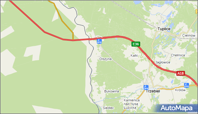 mapa Olszyna gmina Trzebiel, Olszyna gmina Trzebiel na mapie Targeo