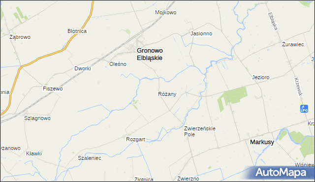 mapa Różany gmina Gronowo Elbląskie, Różany gmina Gronowo Elbląskie na mapie Targeo
