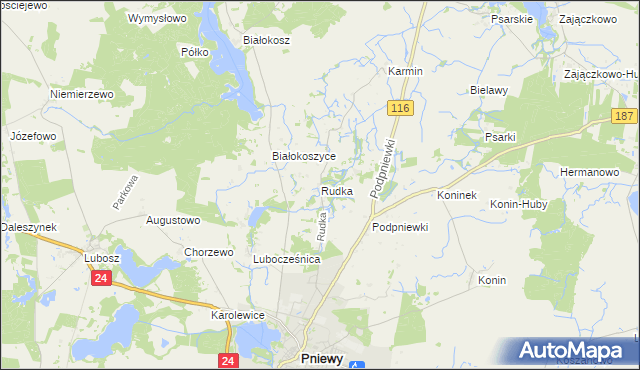 mapa Rudka gmina Pniewy, Rudka gmina Pniewy na mapie Targeo