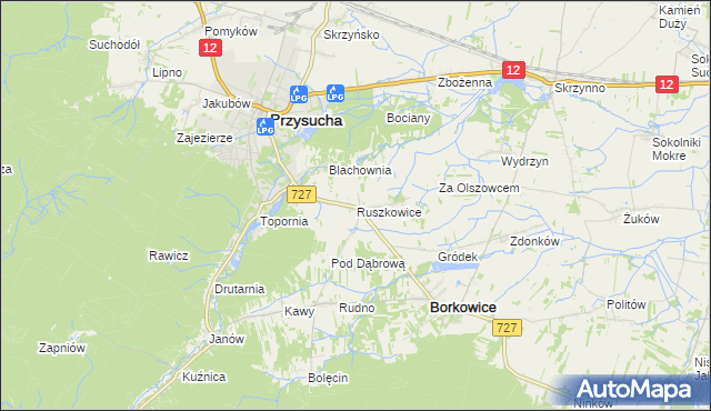 mapa Ruszkowice gmina Borkowice, Ruszkowice gmina Borkowice na mapie Targeo