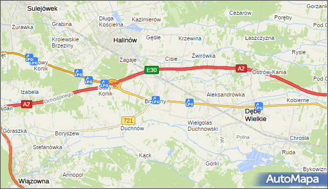 mapa Wielgolas Brzeziński, Wielgolas Brzeziński na mapie Targeo