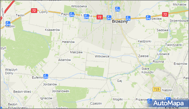 mapa Witkowice gmina Brzeziny, Witkowice gmina Brzeziny na mapie Targeo