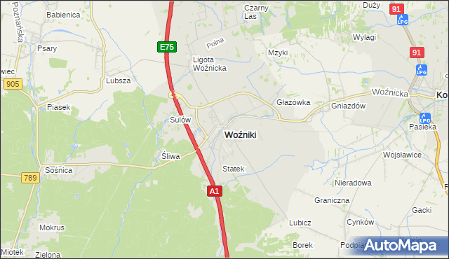 mapa Woźniki powiat lubliniecki, Woźniki powiat lubliniecki na mapie Targeo