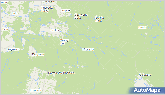 mapa Rosochy gmina Bliżyn, Rosochy gmina Bliżyn na mapie Targeo
