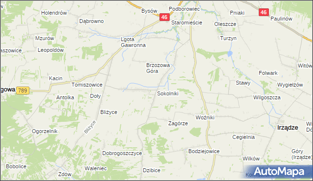 mapa Sokolniki gmina Niegowa, Sokolniki gmina Niegowa na mapie Targeo