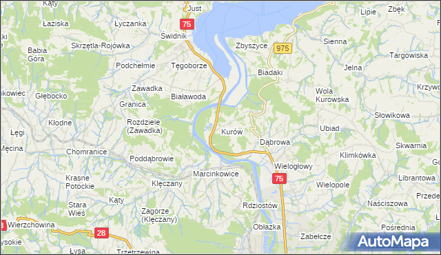 mapa Kurów gmina Chełmiec, Kurów gmina Chełmiec na mapie Targeo