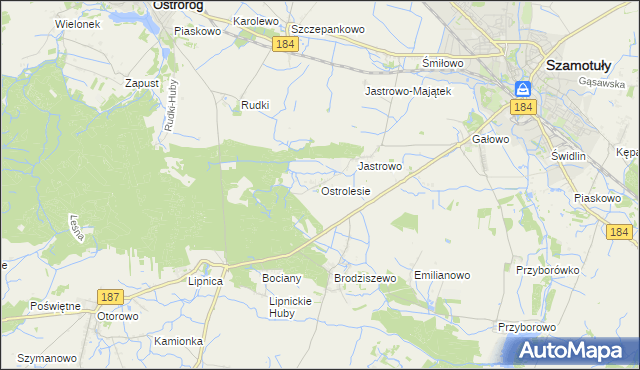 mapa Ostrolesie, Ostrolesie na mapie Targeo