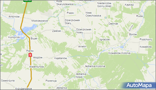 mapa Anielin gmina Skaryszew, Anielin gmina Skaryszew na mapie Targeo