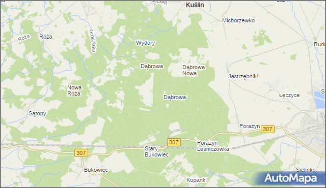 mapa Dąbrowa gmina Opalenica, Dąbrowa gmina Opalenica na mapie Targeo