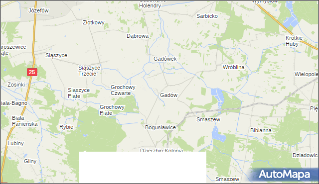 mapa Gadów, Gadów na mapie Targeo