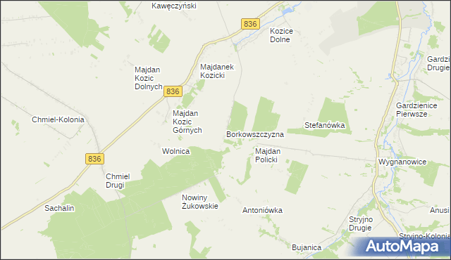 mapa Borkowszczyzna, Borkowszczyzna na mapie Targeo