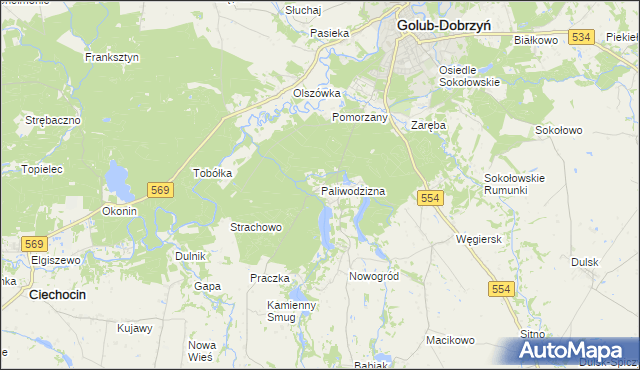 mapa Paliwodzizna, Paliwodzizna na mapie Targeo