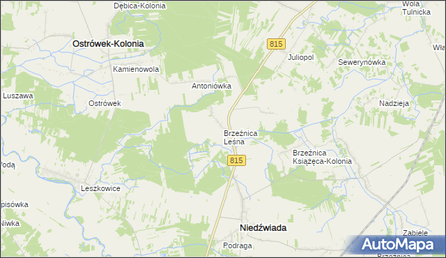 mapa Brzeźnica Leśna, Brzeźnica Leśna na mapie Targeo