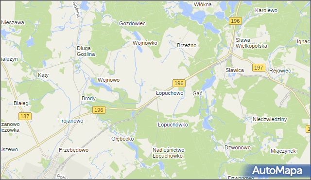 mapa Łopuchowo gmina Murowana Goślina, Łopuchowo gmina Murowana Goślina na mapie Targeo