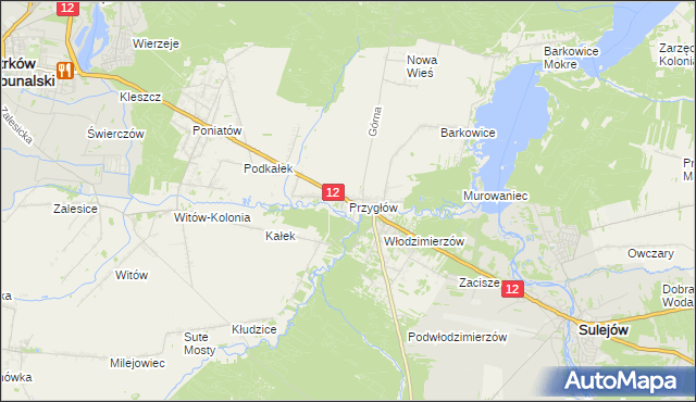 mapa Przygłów, Przygłów na mapie Targeo