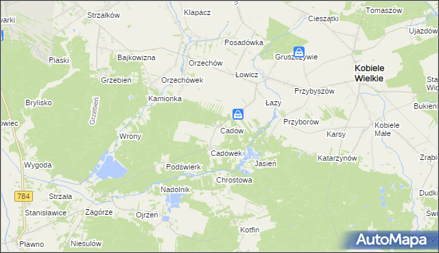 mapa Cadów, Cadów na mapie Targeo