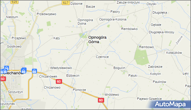 mapa Czernice gmina Opinogóra Górna, Czernice gmina Opinogóra Górna na mapie Targeo