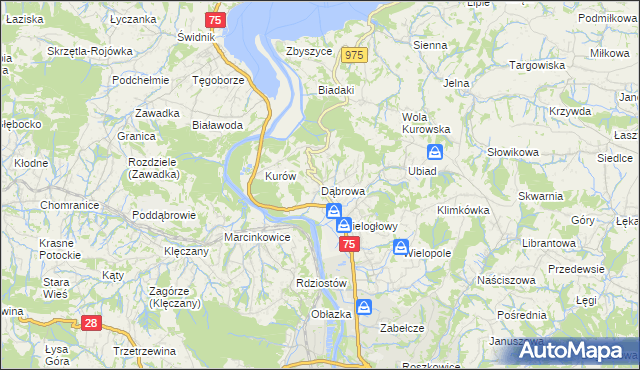 mapa Dąbrowa gmina Chełmiec, Dąbrowa gmina Chełmiec na mapie Targeo