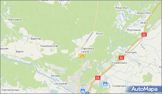 mapa Dąbrówka Leśna, Dąbrówka Leśna na mapie Targeo